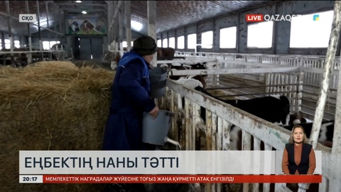 Жаңажылдық мерекеде кімдер демалыссыз жұмыс істейді?