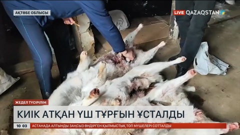 Ақтөбеде киік атқан үш тұрғын ұсталды