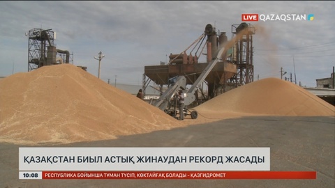 Қазақстан биыл астық жинаудан рекорд жасады