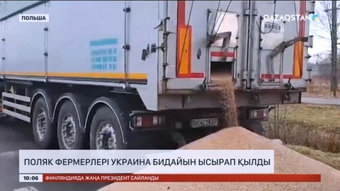 Поляк фермерлері Украина бидайын ысырап қылды
