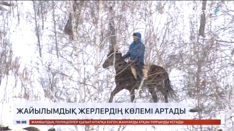 Жайылымдық жерлердің көлемі артады