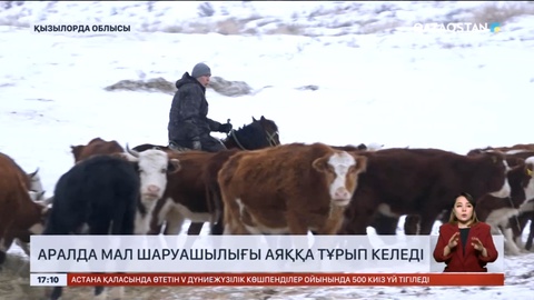 Аралда мал басы еселенген