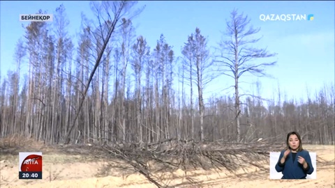 Орманшылардың айлығы қашан көтеріледі?