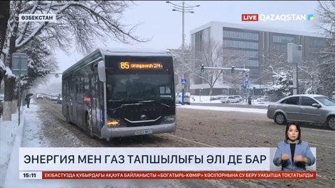 Өзбекстанда электр қуаты мен газ тапшылығы мәселесі шешілмей тұр