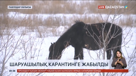 Павлодар облысындағы шаруа қожалығы карантинге жабылды