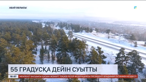 -55 градус: Семей орманында соңғы 20 жылдағы ең төмен температура тіркелді