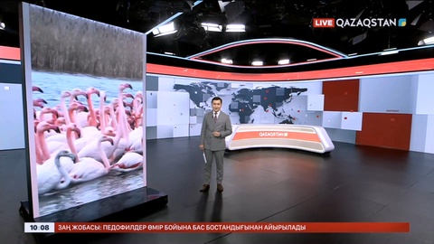 Қар мен қоқиқаз: Ақтаулық блогер ең әдемі кадрларды көрсетті