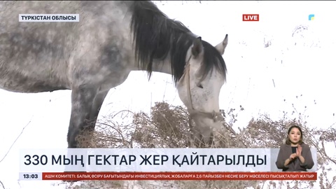 Түркістан облысында заңсыз жекешеленген 330 мың гектар жер қайтарылды