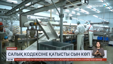 Салық кодексіне қатысты сын көп