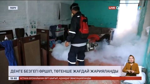 Перуде денге безгегі өршіп, елде төтенше жағдай жарияланды