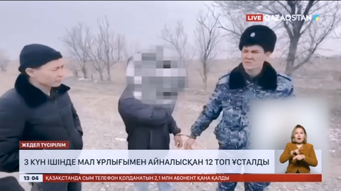 Мал ұрлығымен айналысқан 12 топ ұсталды