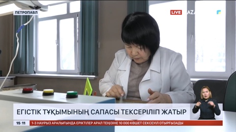 Солтүстік Қазақстанда егістік тұқымының сапасы тексеріліп жатыр