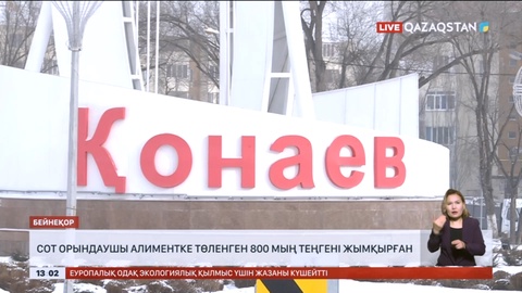 Алматы облысында сот орындаушы алиментке төленген 800 мың теңгені жымқырған