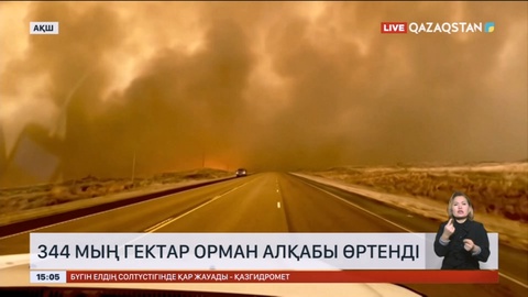 Техастағы орман өрті 200 мың гектардан астам жерді шарпыды