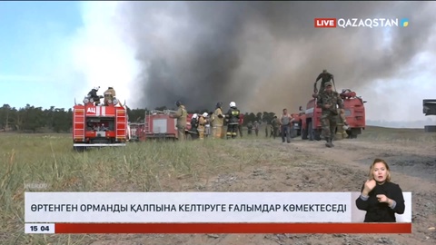 Абай облысындағы өртенген орманды қалпына келтіруге ғалымдар көмектеседі