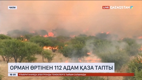 Чилиде орман өртінен 112 адам қаза тапты