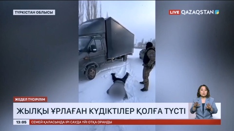 Түркістан облысында мал ұрлаумен айналысқан қылмыстық топ ұсталды