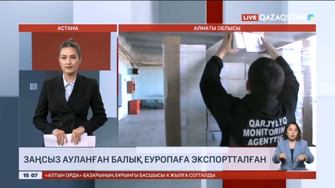 Алматы облысында заңсыз ауланған балық Еуропаға экспортталған