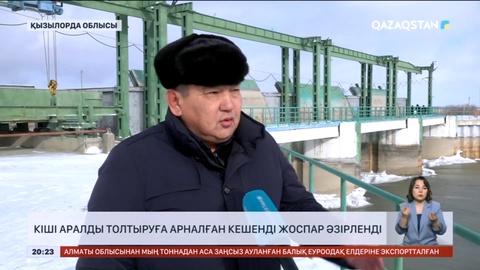 Кіші Аралды толтыруға арналған кешенді жоспар әзірленді