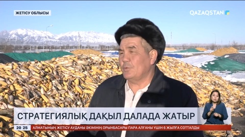 Жетісу облысында стратегиялық маңызы бар дақыл әлі далада жатыр