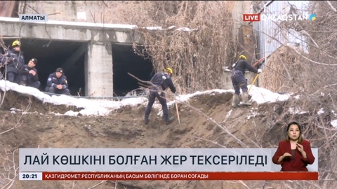Алматыда лай көшкіні болған жер тексеріледі – Мәжіліс депутаты