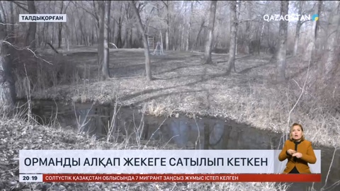 Талдықорғанда орманды алқап жекеге сатылып кеткен