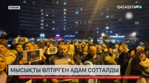 Түркияда мысықты өлтірген адам сотталды