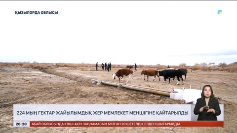 Қызылорда облысында 224 мың га жайылымдық жер мемлекет меншігіне қайтарылды