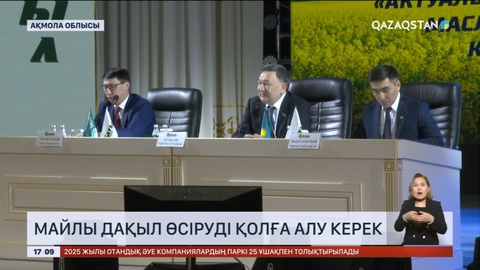 Биыл майлы дақыл өсіруді қолға алу керек