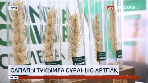 Қазақ шаруалары сырт елдің сапалы тұқымын егетін болады