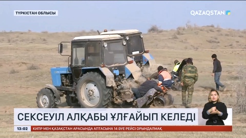 Түркістан облысында сексеуіл алқабы ұлғайып келеді