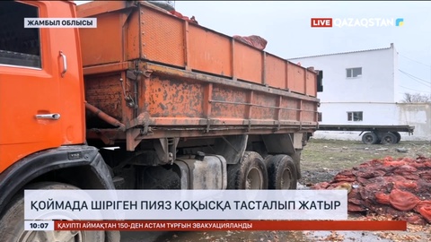 Жамбыл облысында қоймада шіріген пияз қоқысқа тасталып жатыр