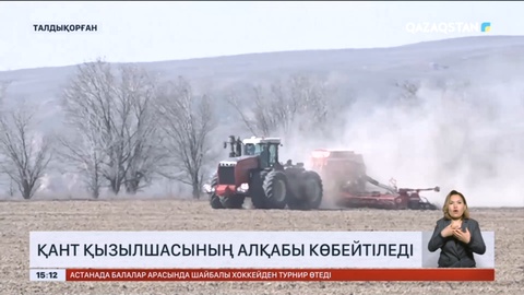 Жетісу облысында жүгері алқабы азайтылып, қант қызылшасы көбейтіледі