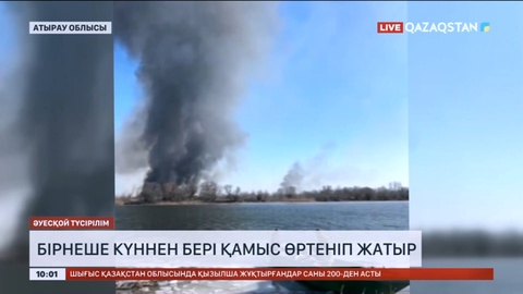 Атырау облысында бірнеше күннен бері қамыс өртеніп жатыр