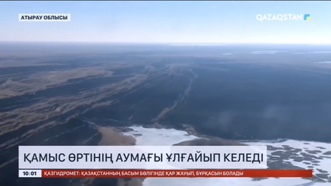 Атырау облысында қамыс өртінің аумағы ұлғайып келеді