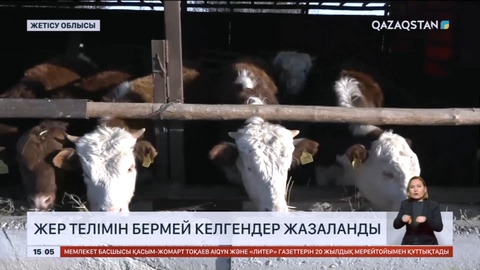 Жетісу облысында жер телімін бермей келгендер жазаланды