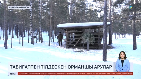 Табиғатпен тілдескен орманшы арулар