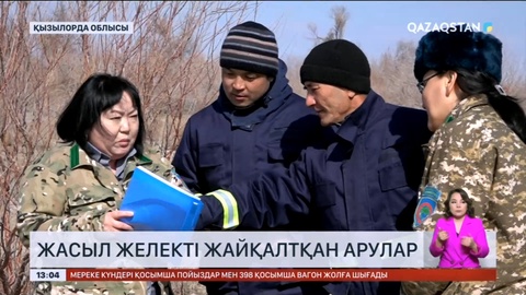 Жасыл желекті жайқалтқан арулар