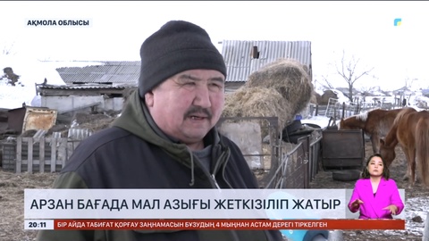 Солтүстік Қазақстанда 172 жылқының өлексесі табылды