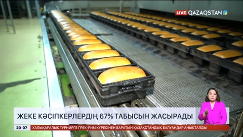 Елімізде жеке кәсіпкерлердің 67 пайызы табысын жасырады