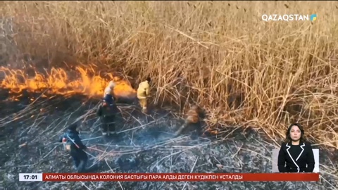 Атырау облысында бір аптадан бері қамыс өртеніп жатыр