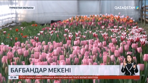 Түркістан облысының Дербісек ауылы бағбандар мекені