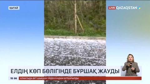 Қытайдың көп бөлігінде бұршақ жауды