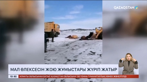 Мал өлексесін жою жұмыстары республикалық эпизоотияға қарсы отрядқа жүктелген