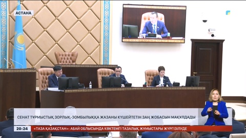 Сенат тұрмыстық зорлық-зомбылыққа жазаны күшейтетін заң жобасын мақұлдады