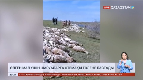 Өлген мал үшін шаруаларға өтемақы төлеу басталды