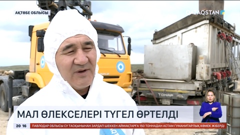 Тасқын кезінде өлген мал өлекселері түгел өртелді