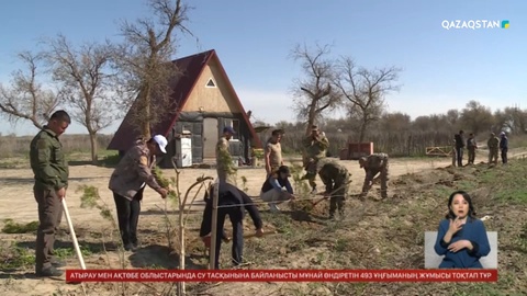 Түркістан облысы табиғи парк аумағына көшет отырғызылды