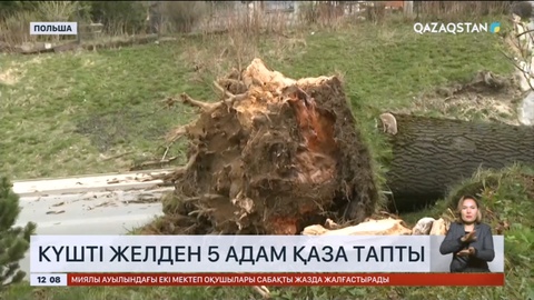 Польшаның оңтүстігінде күшті желден 5 адам қаза тапты