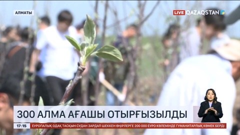 Алматыда 300 түп алма ағашы отырғызылды